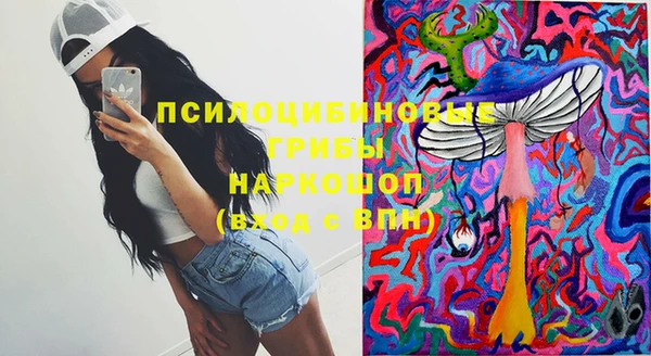 альфа пвп Дмитровск