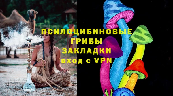 альфа пвп Дмитровск