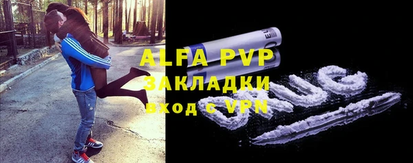 хмурый Дмитриев