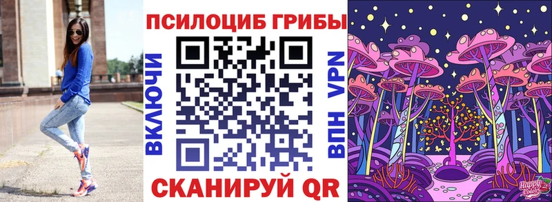 Купить  Кубинка  Псилоцибиновые грибы прущие грибы 
